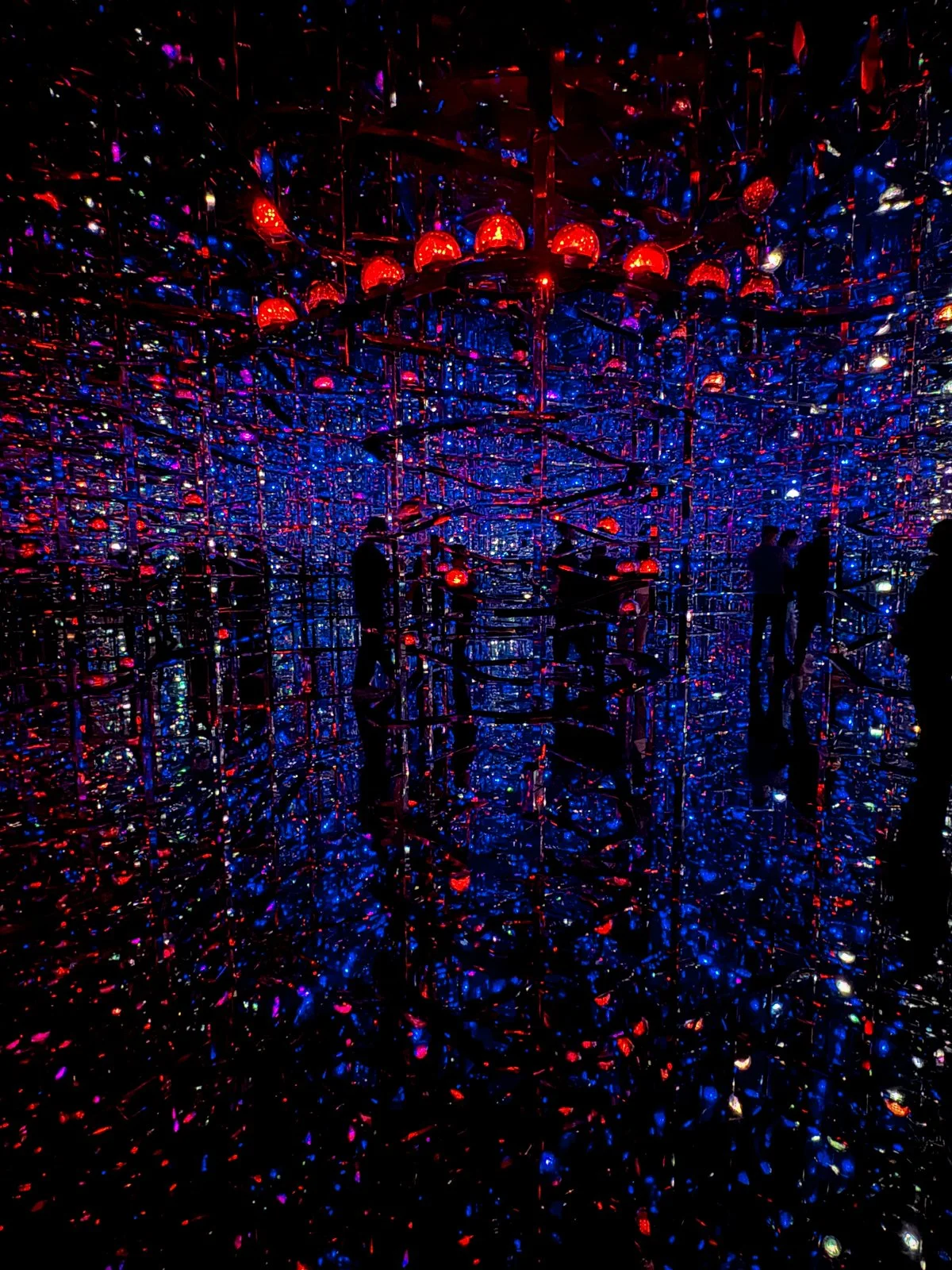 2026 JAPAN TEAMLAB BORDERLESS-32.jpg