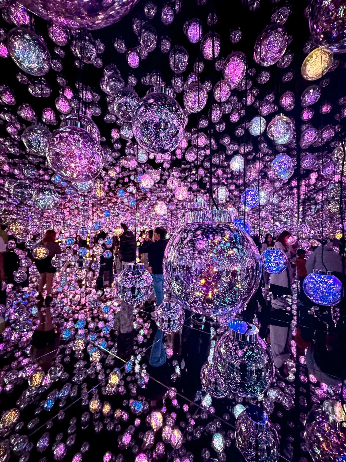 2026 JAPAN TEAMLAB BORDERLESS-33.jpg