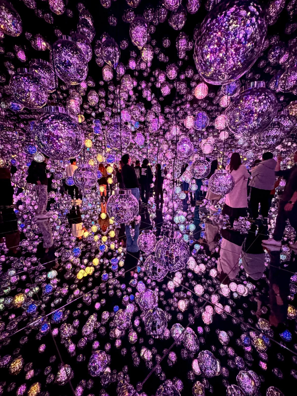 2026 JAPAN TEAMLAB BORDERLESS-34.jpg