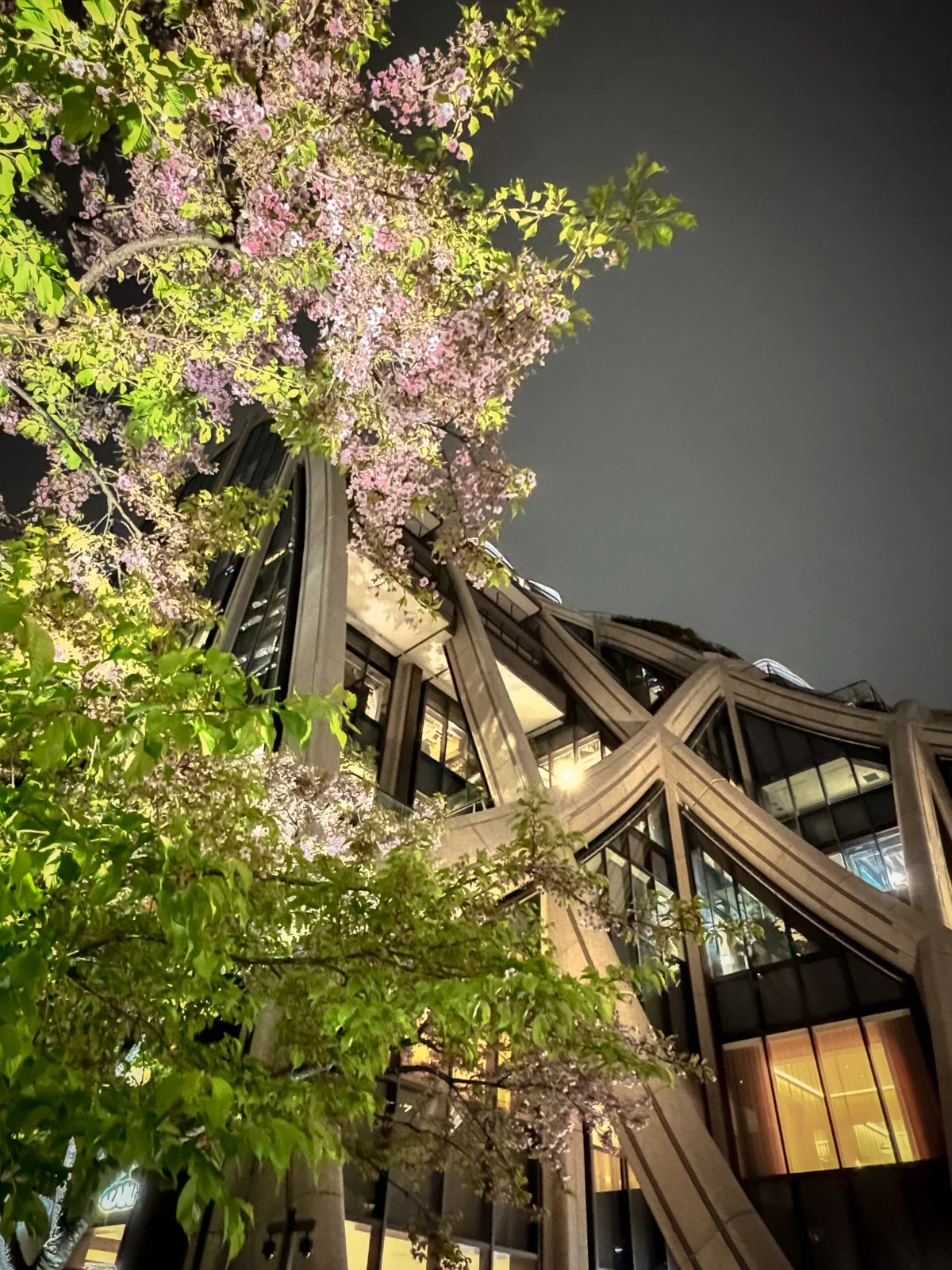 2026 JAPAN TOKYO AZABUDAI HILLS-30.jpg