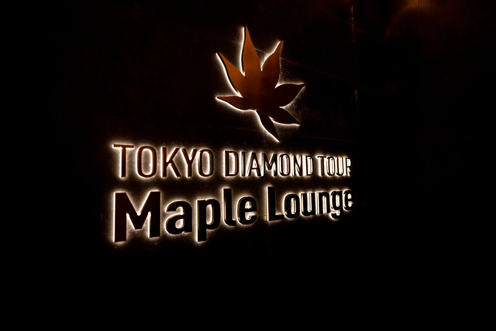 2026 JAPAN TOKYO TOWER-5.jpg