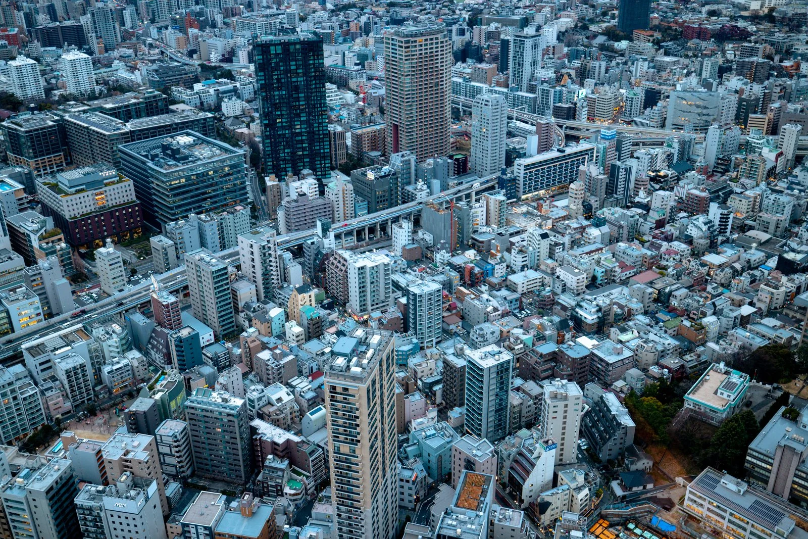 2026 JAPAN TOKYO TOWER-18.jpg