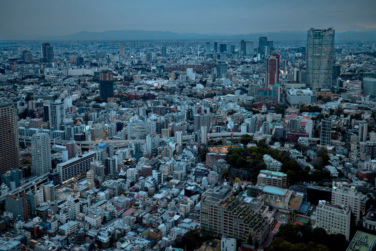 2026 JAPAN TOKYO TOWER-19.jpg