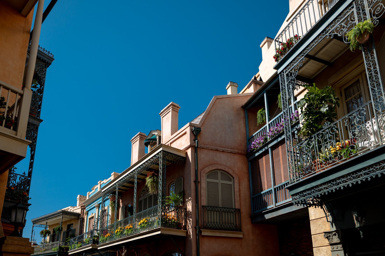 2026 JAPAN TOKYO DISNEYLAND-8.jpg