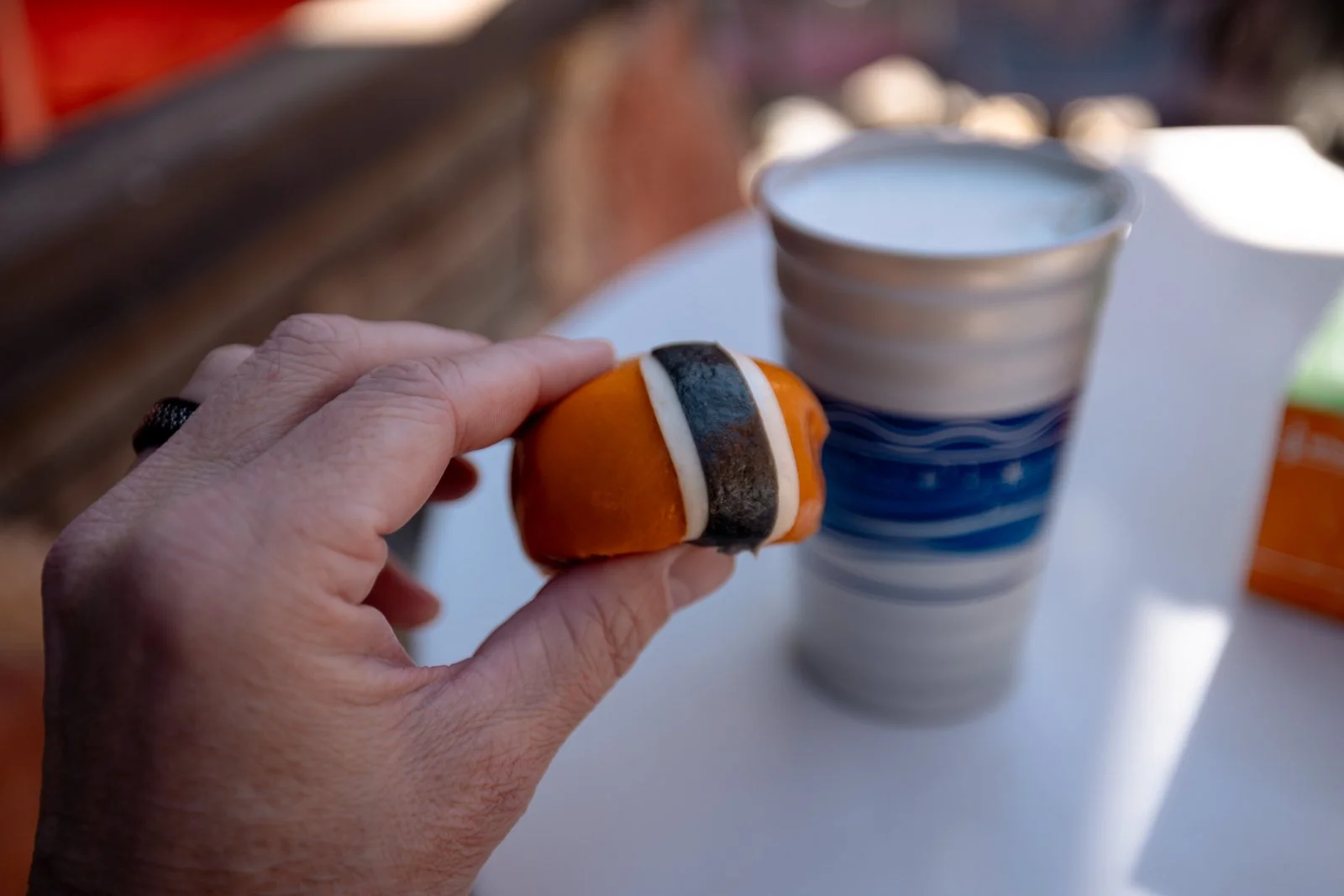 2026 JAPAN TOKYO DISNEYLAND-10.jpg