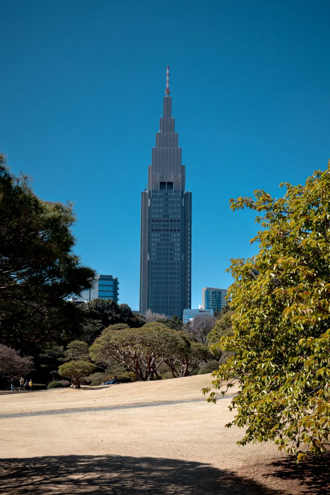 2026 JAPAN TOKYO SHINJUKU GYOEN GARDEN-1.jpg