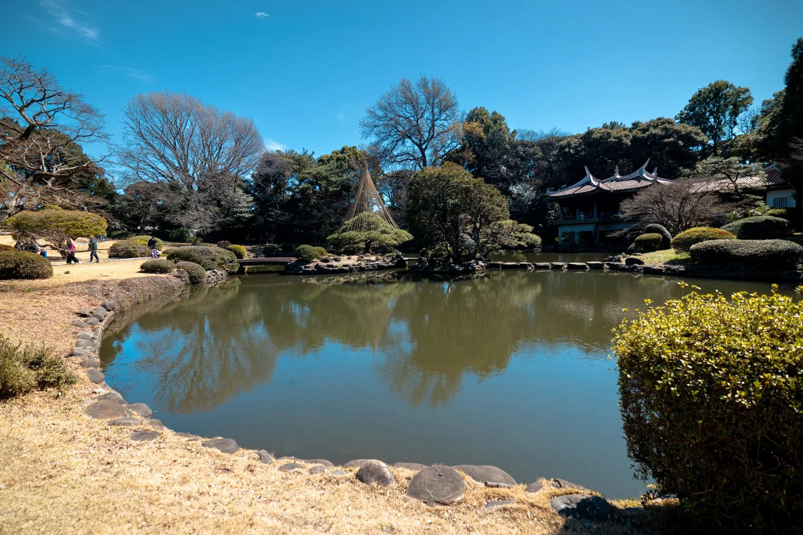 2026 JAPAN TOKYO SHINJUKU GYOEN GARDEN-3.jpg