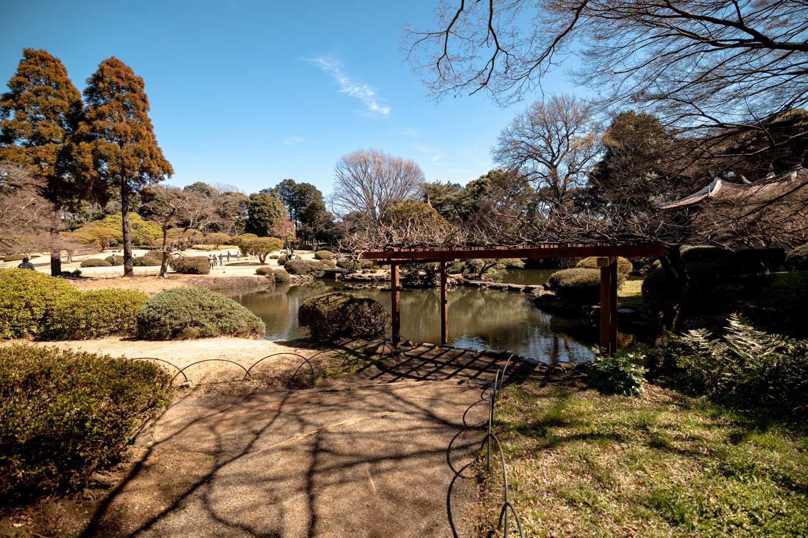 2026 JAPAN TOKYO SHINJUKU GYOEN GARDEN-4.jpg