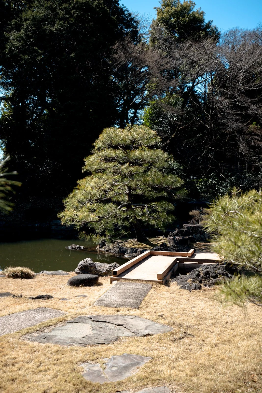 2026 JAPAN TOKYO SHINJUKU GYOEN GARDEN-5.jpg