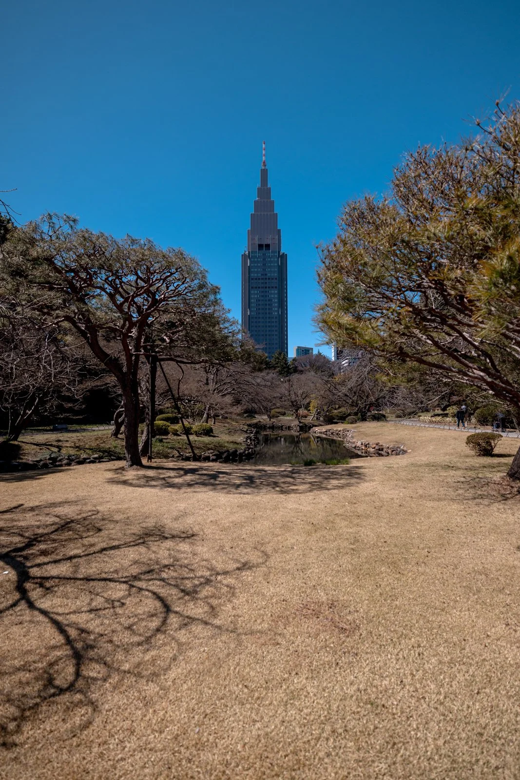 2026 JAPAN TOKYO SHINJUKU GYOEN GARDEN-8.jpg