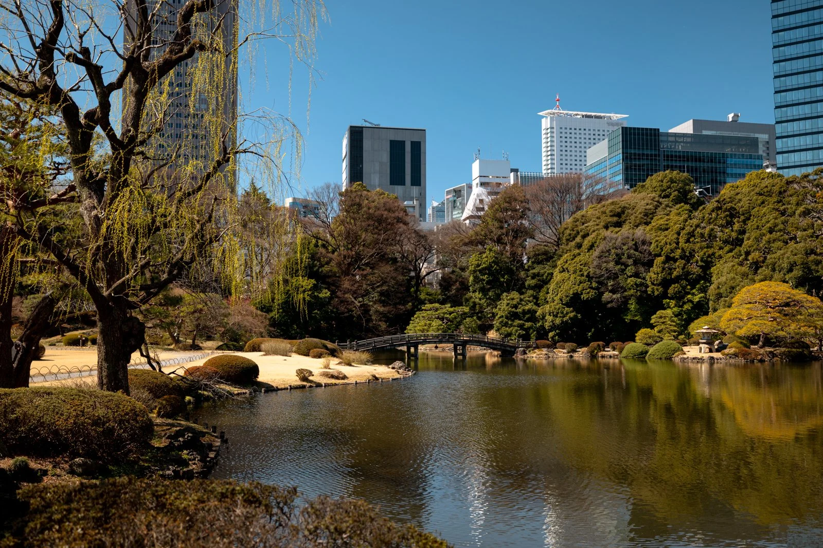 2026 JAPAN TOKYO SHINJUKU GYOEN GARDEN-16.jpg