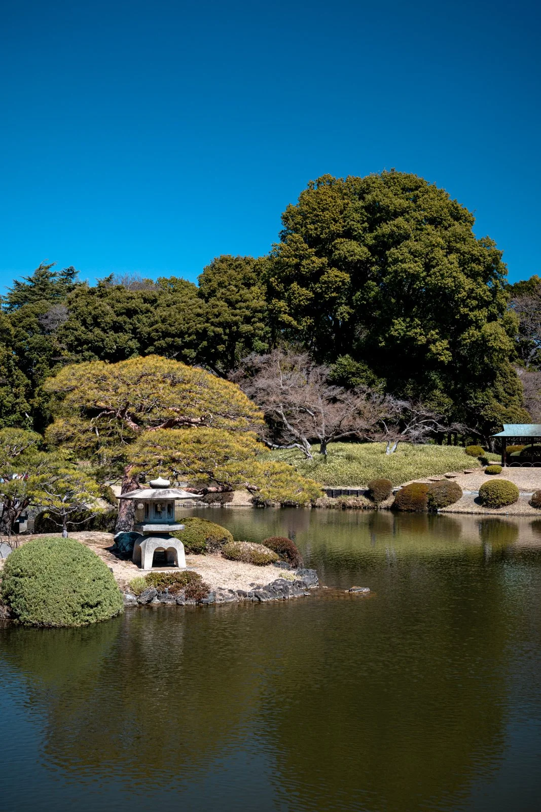 2026 JAPAN TOKYO SHINJUKU GYOEN GARDEN-18.jpg