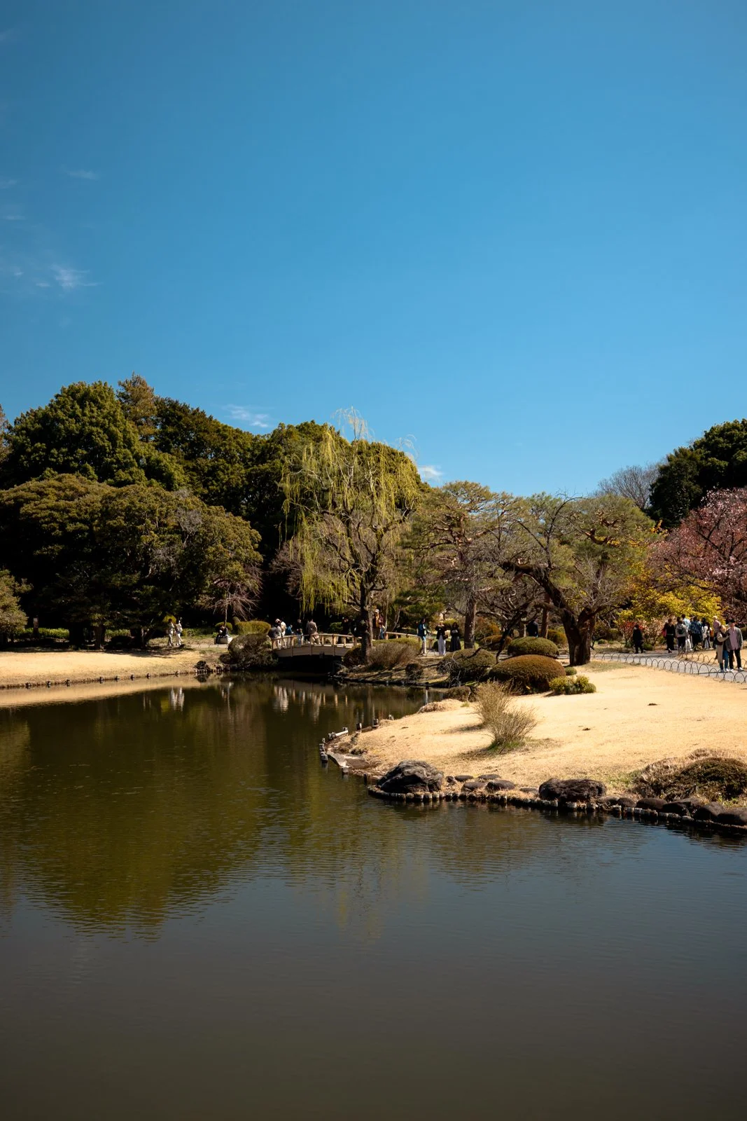 2026 JAPAN TOKYO SHINJUKU GYOEN GARDEN-19.jpg