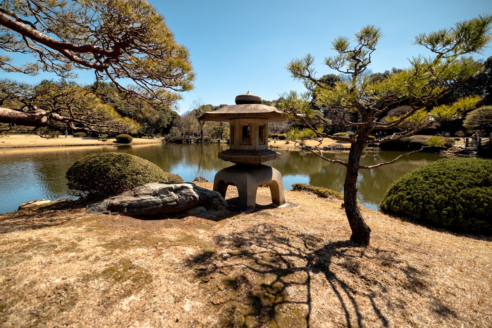 2026 JAPAN TOKYO SHINJUKU GYOEN GARDEN-20.jpg