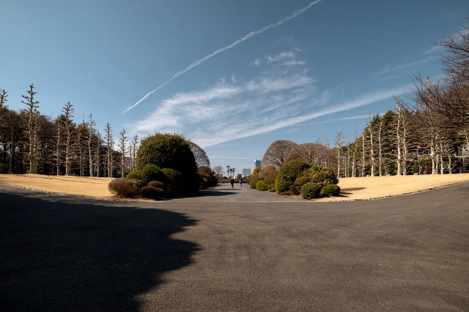 2026 JAPAN TOKYO SHINJUKU GYOEN GARDEN-35.jpg