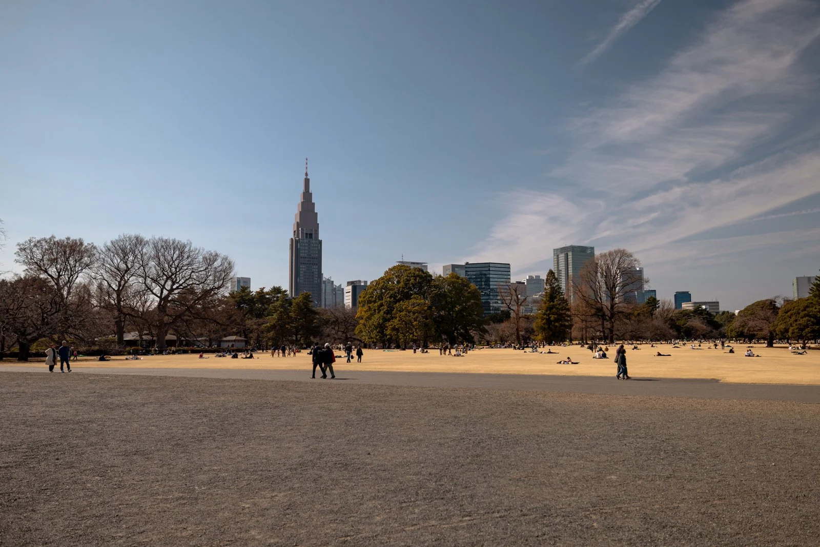 2026 JAPAN TOKYO SHINJUKU GYOEN GARDEN-36.jpg