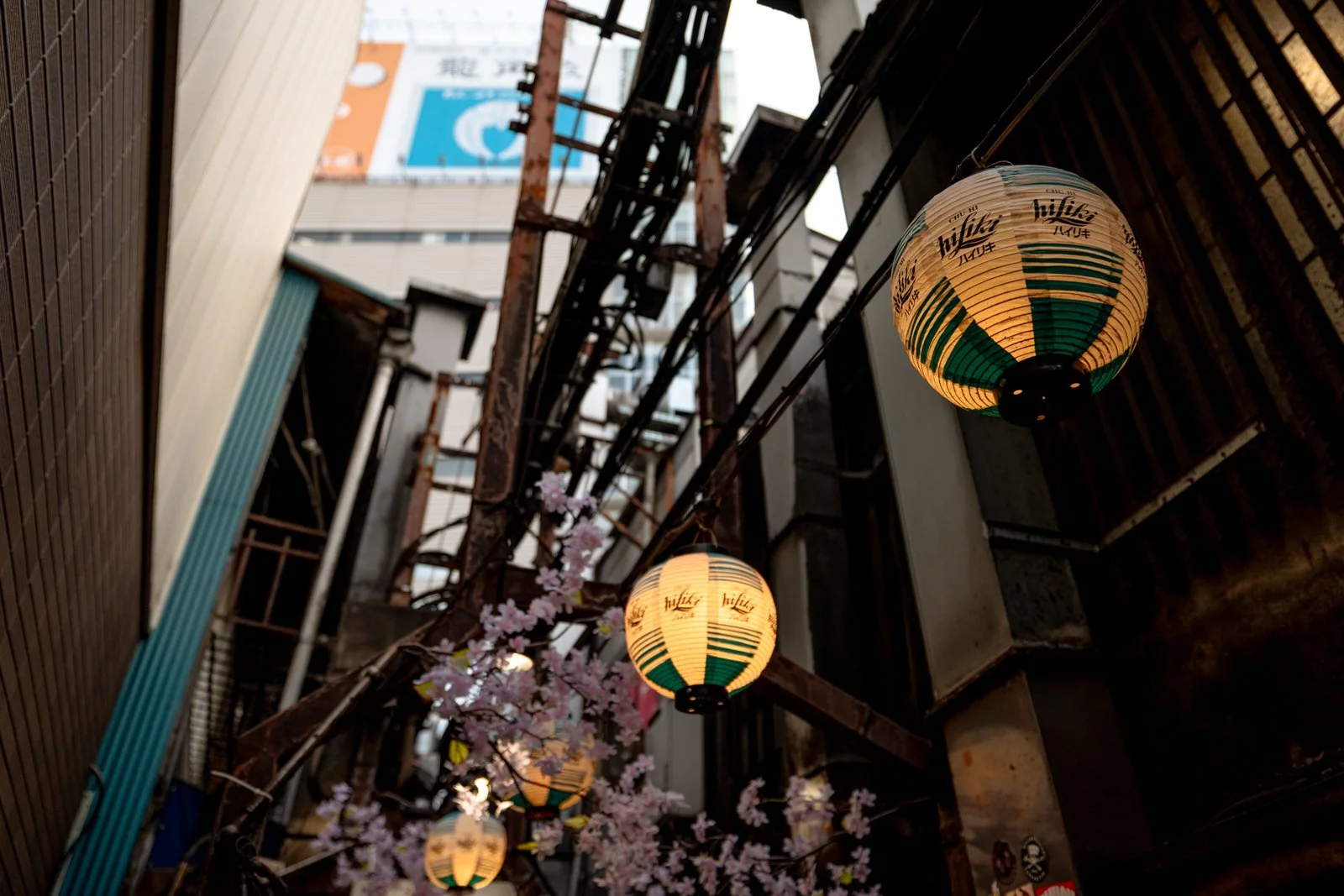 2026 JAPAN TOKYO SHINJUKU STREETSCAPES-18.jpg