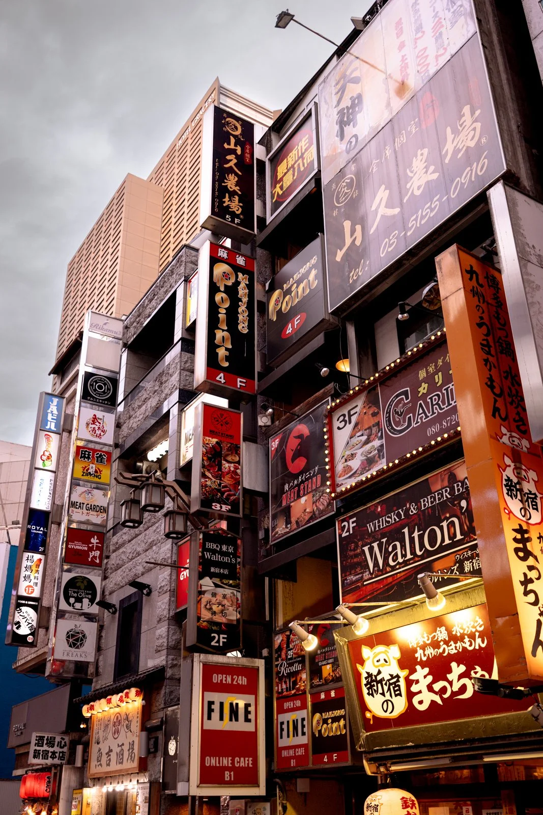 2026 JAPAN TOKYO SHINJUKU KABUCHIKO-5.jpg
