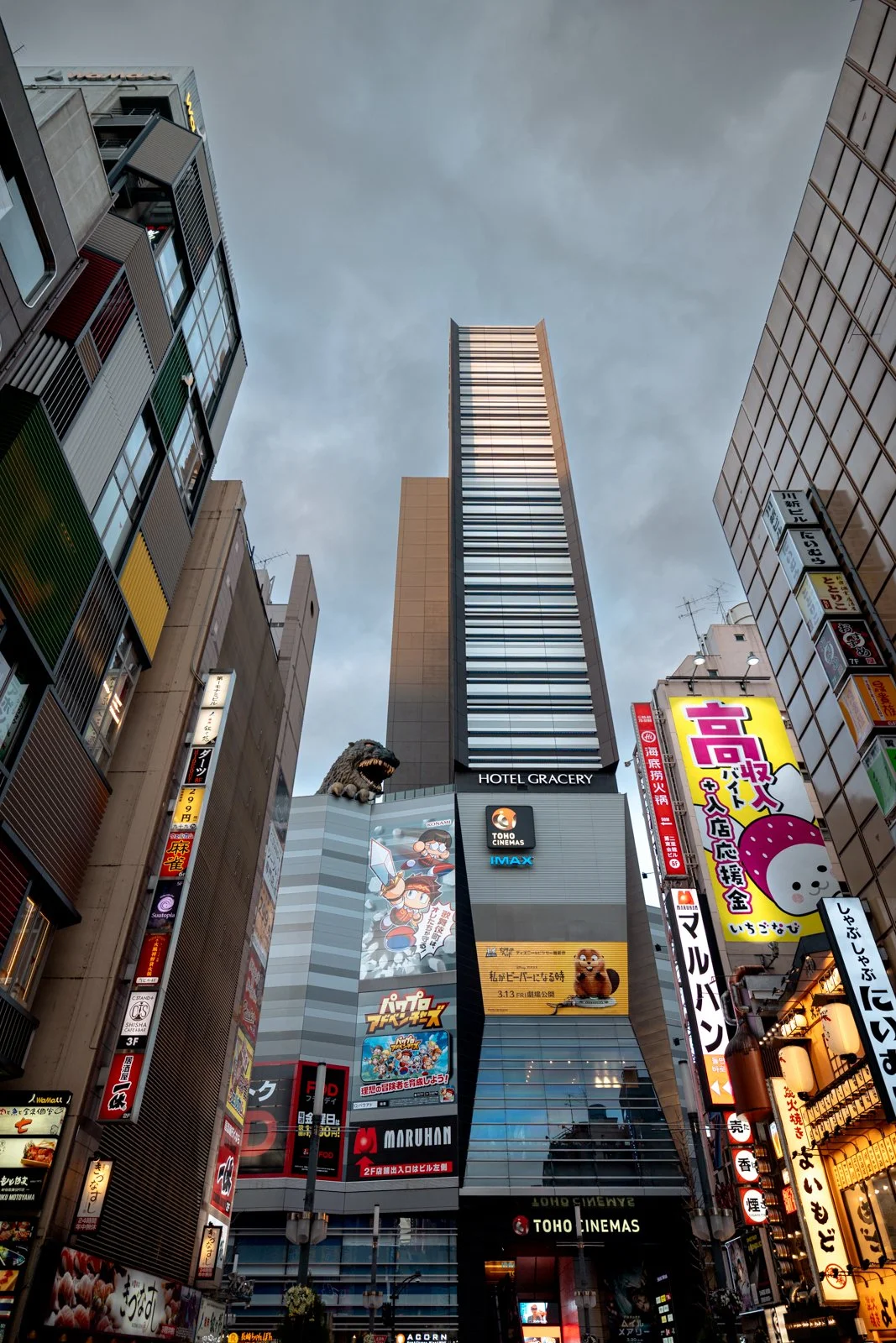 2026 JAPAN TOKYO SHINJUKU KABUCHIKO-12.jpg