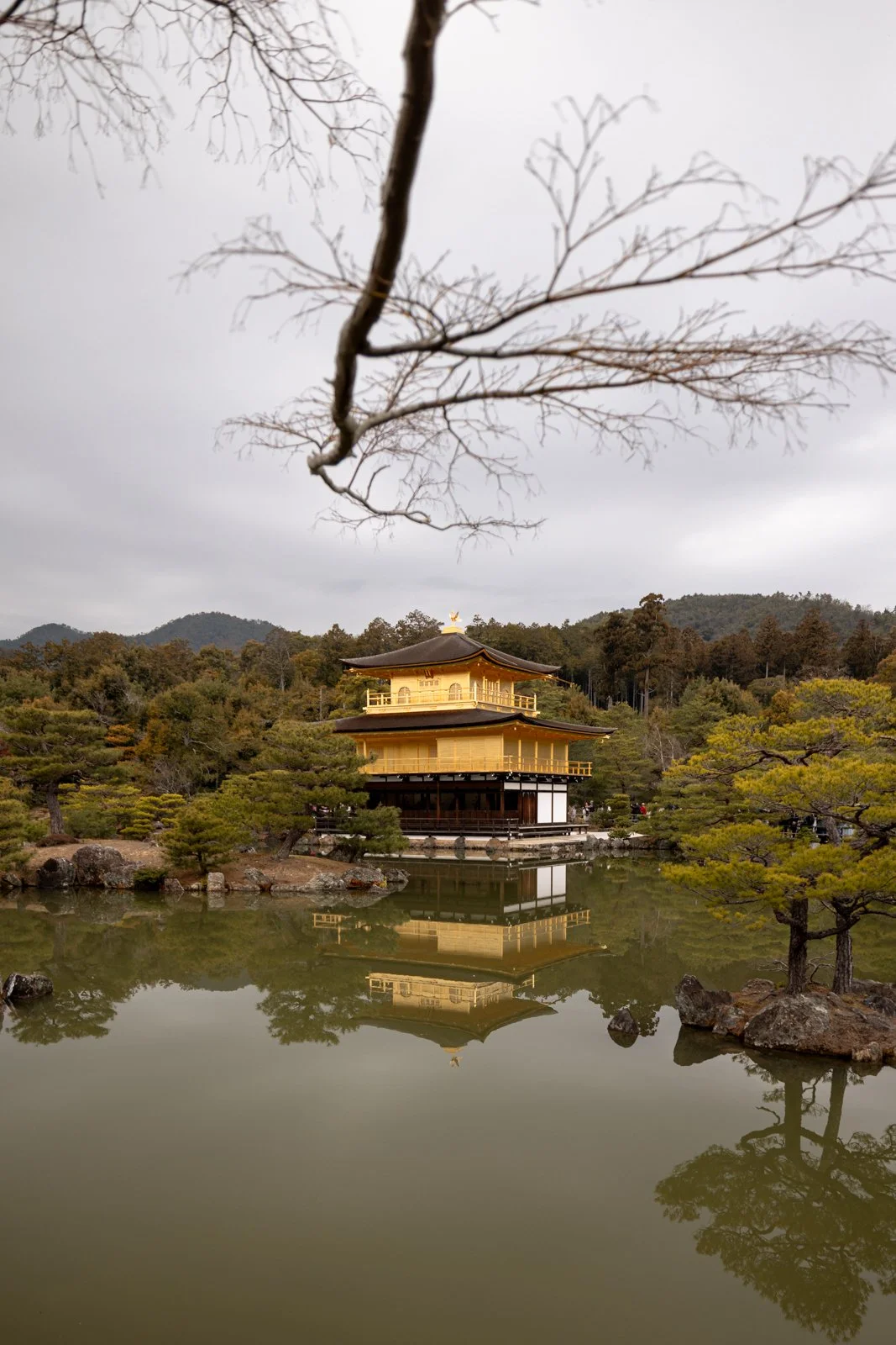 2026 KYOTO GOLDEN PAVILION-2.jpg