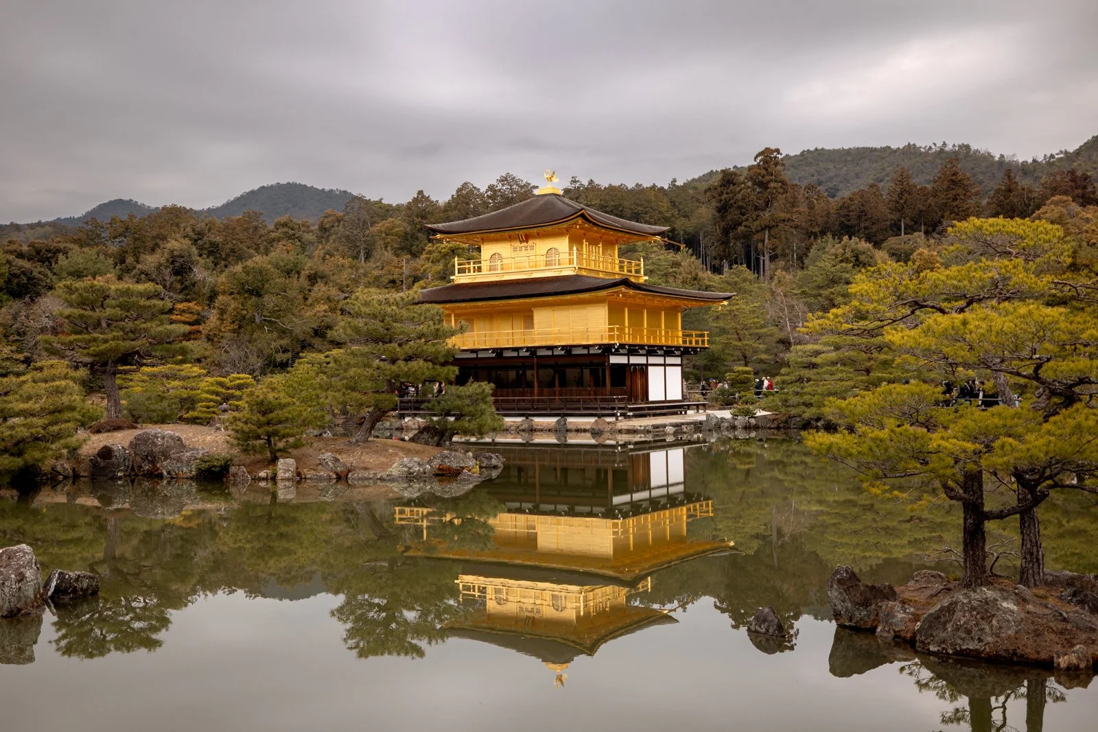 2026 KYOTO GOLDEN PAVILION-1.jpg