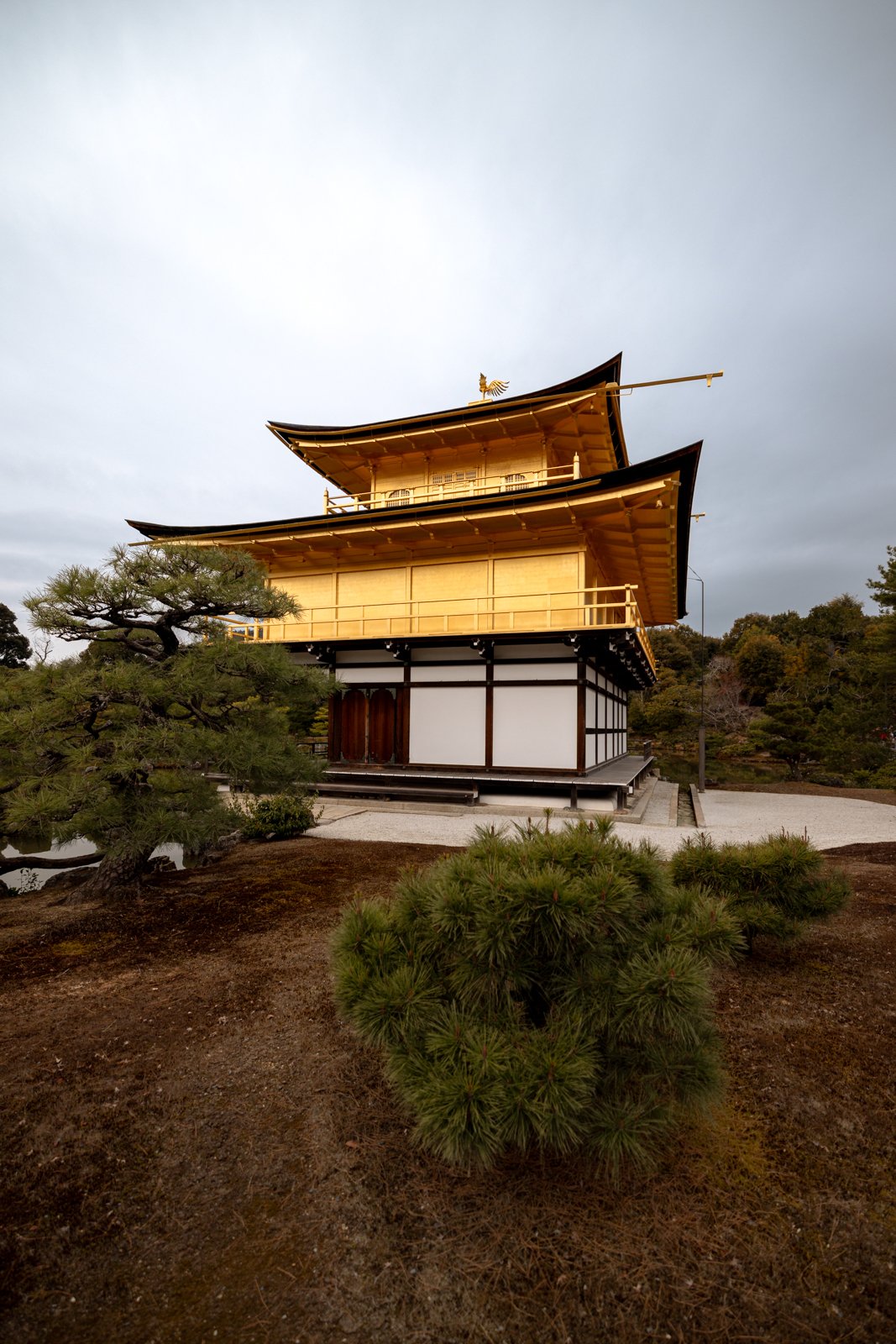 2026 KYOTO GOLDEN PAVILION-3.jpg