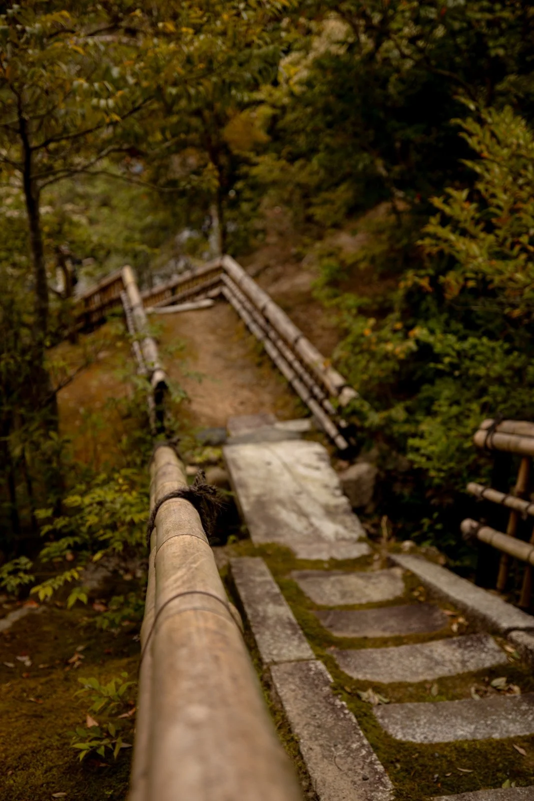 2026 KYOTO GOLDEN PAVILION-8.jpg