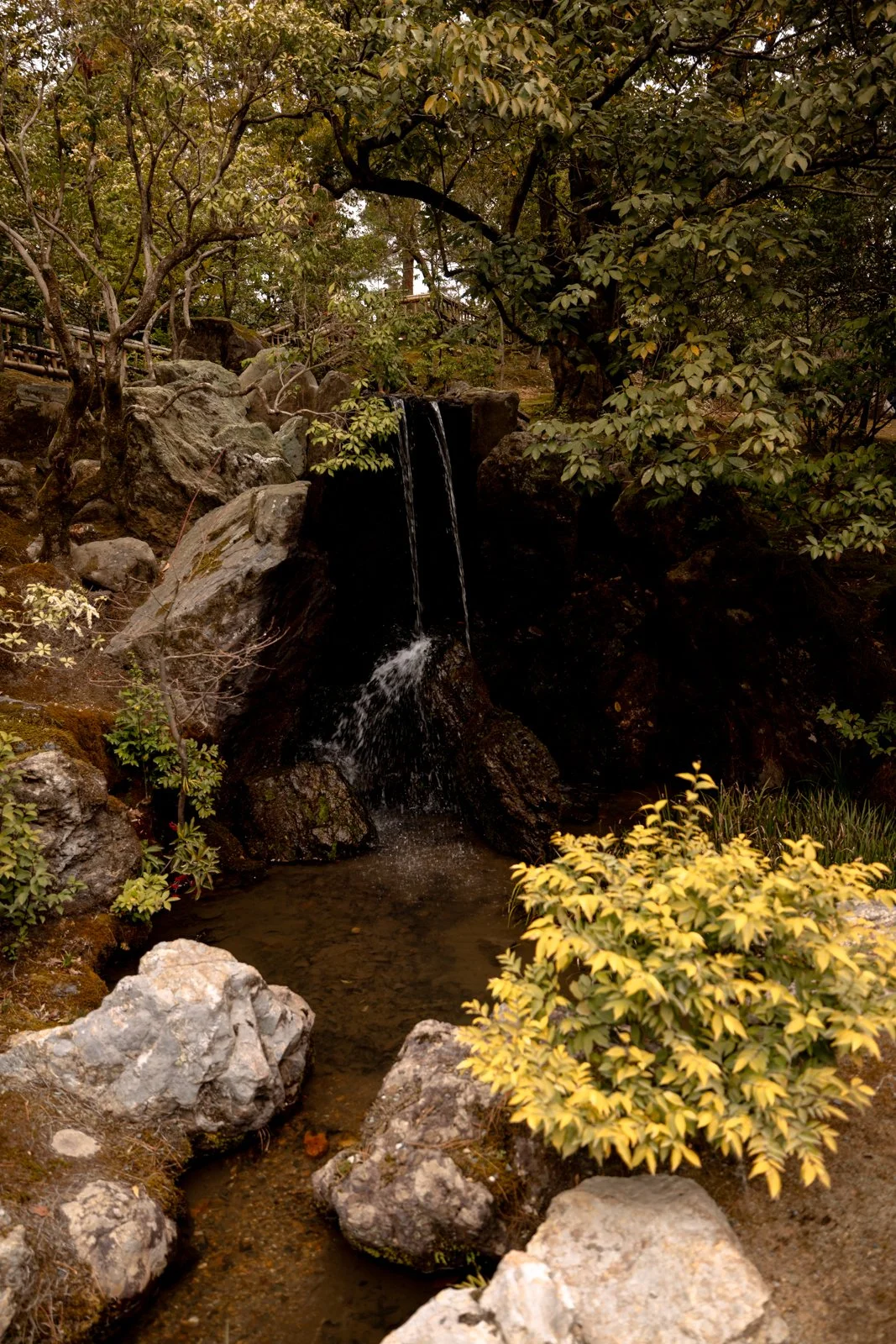 2026 KYOTO GOLDEN PAVILION-7.jpg