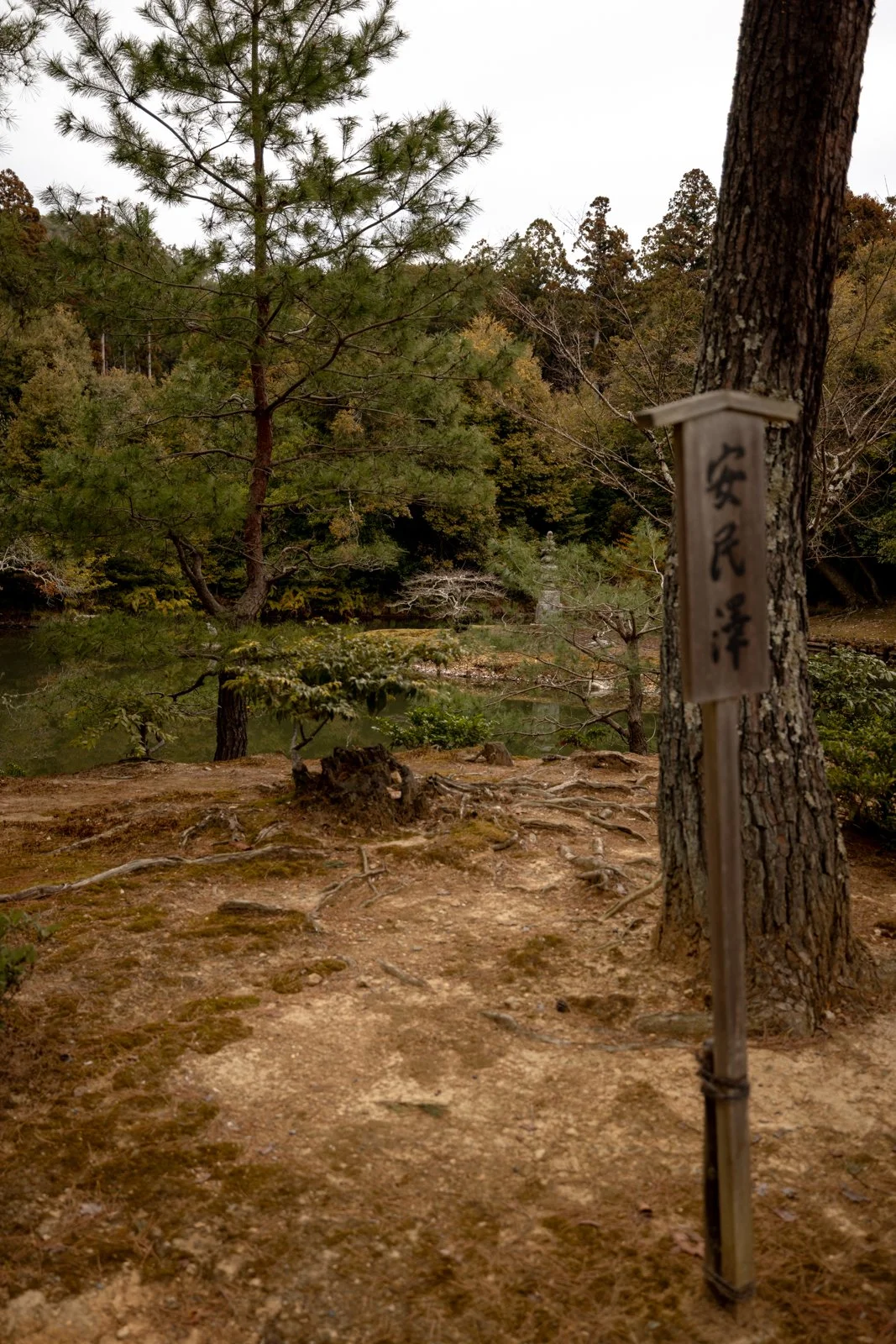 2026 KYOTO GOLDEN PAVILION-9.jpg