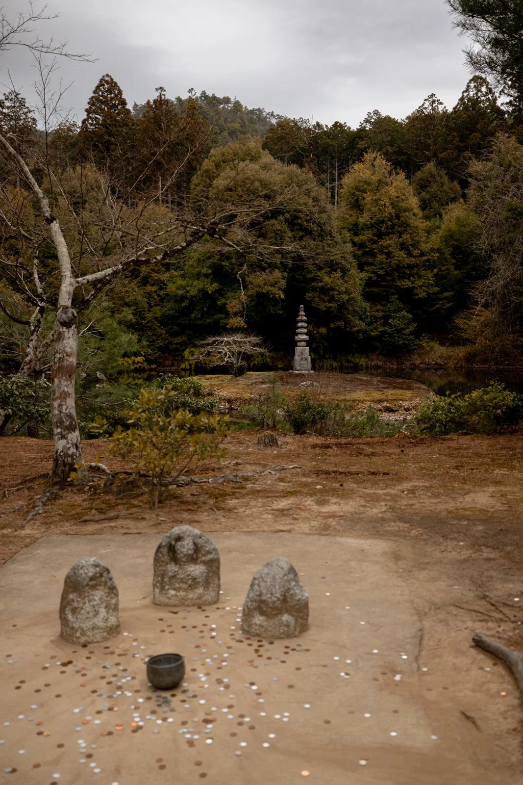 2026 KYOTO GOLDEN PAVILION-10.jpg