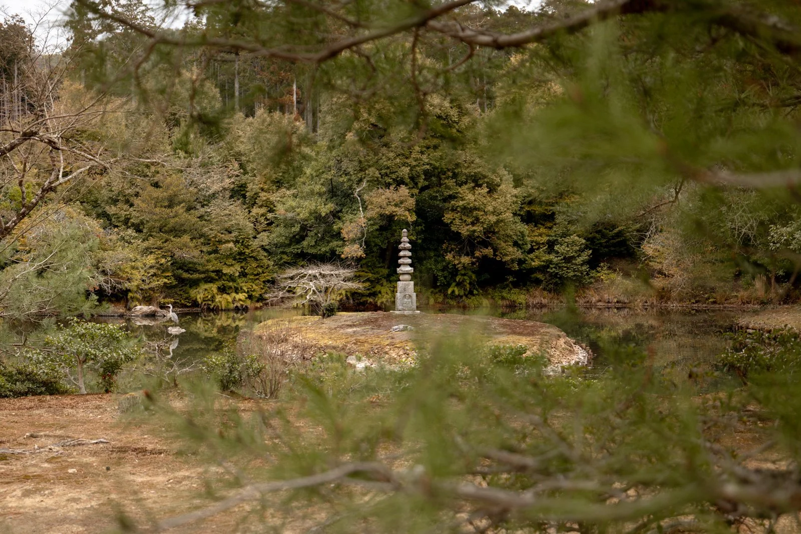 2026 KYOTO GOLDEN PAVILION-11.jpg