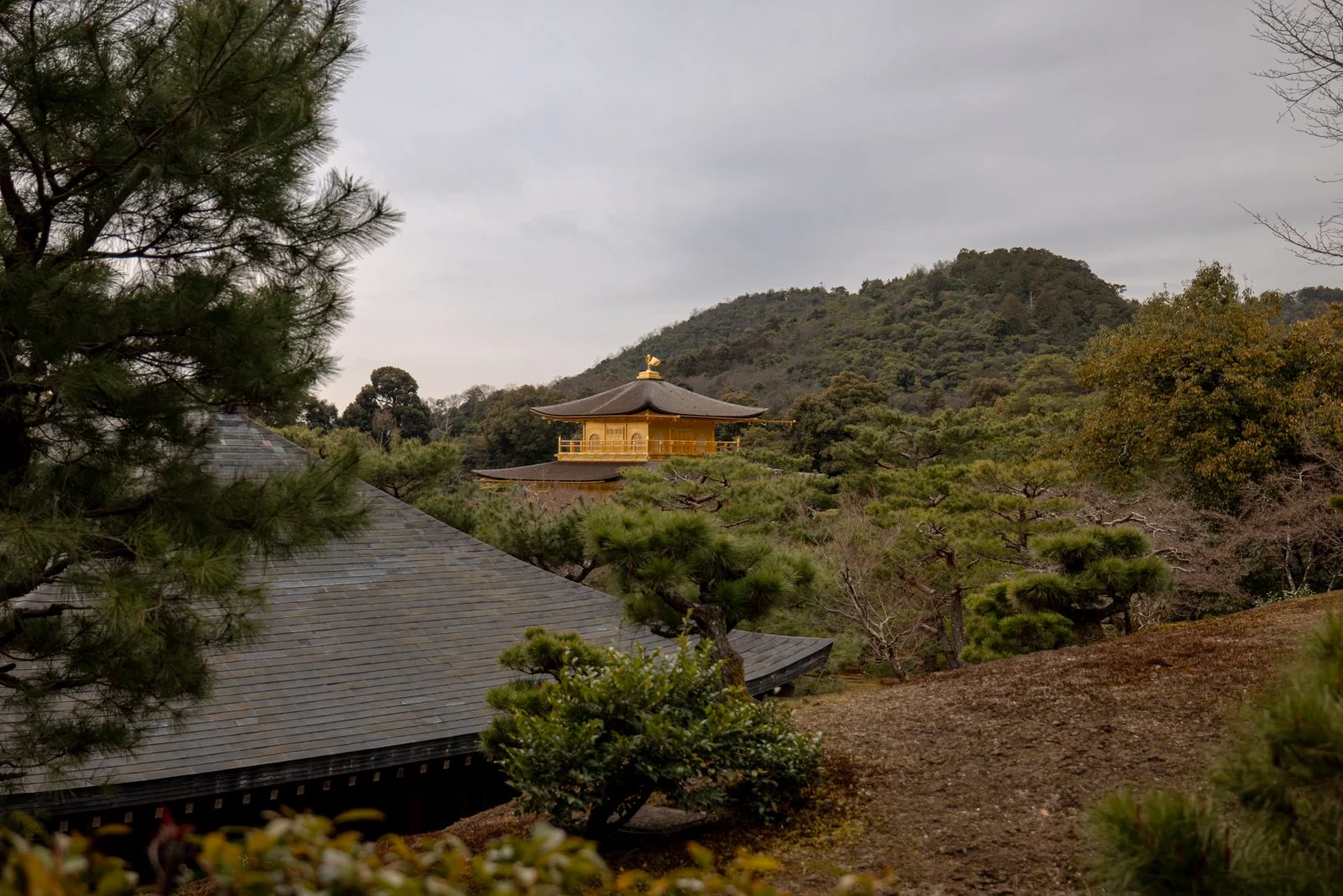 2026 KYOTO GOLDEN PAVILION-14.jpg
