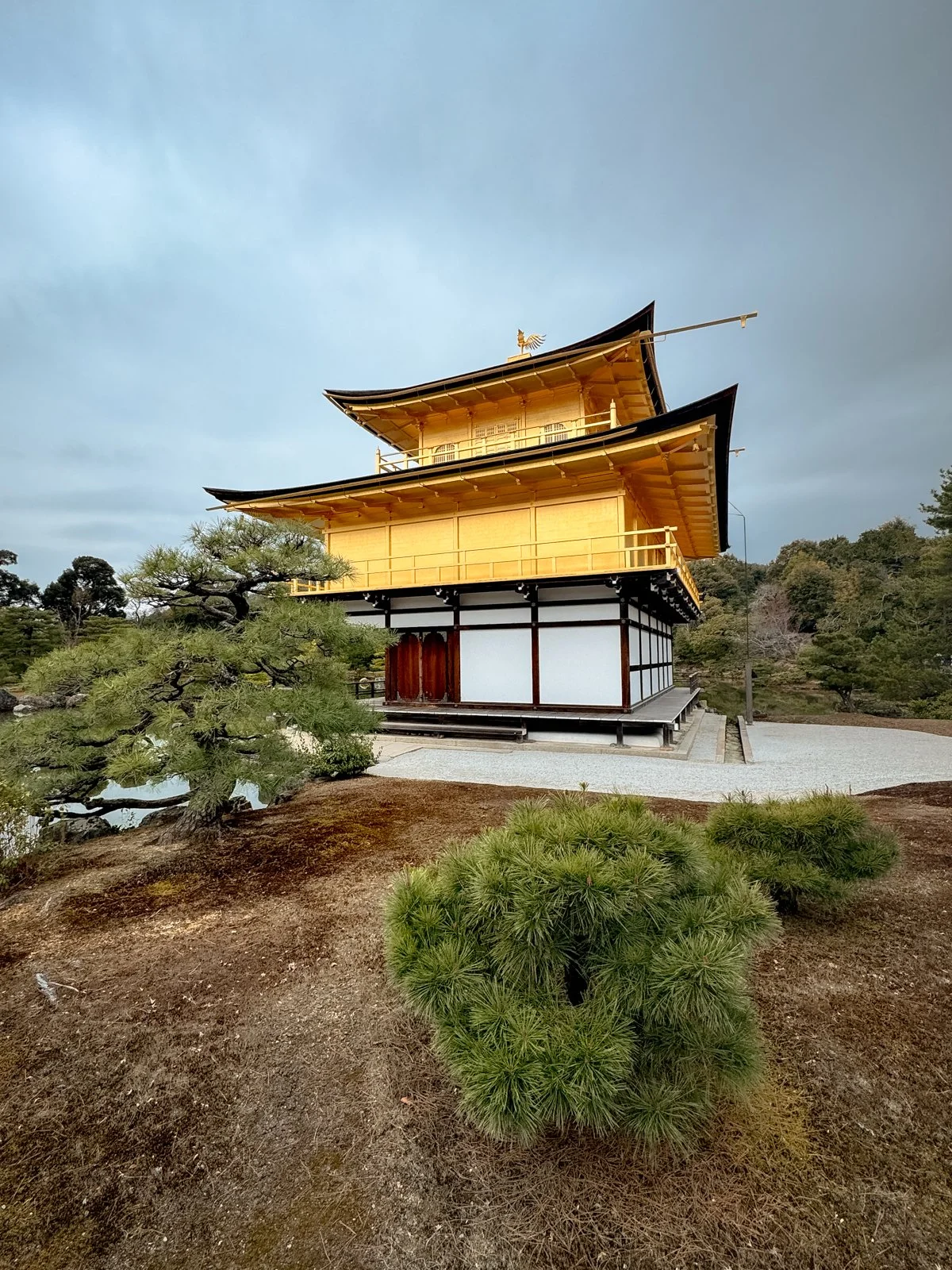 2026 KYOTO GOLDEN PAVILION-16.jpg
