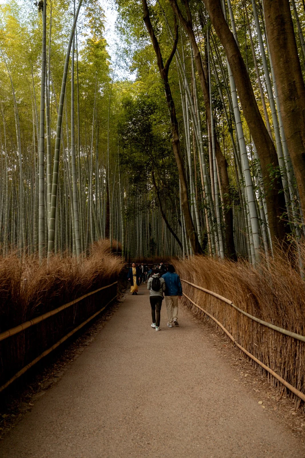 2026 KYOTO ARASHIYAMA-3.jpg