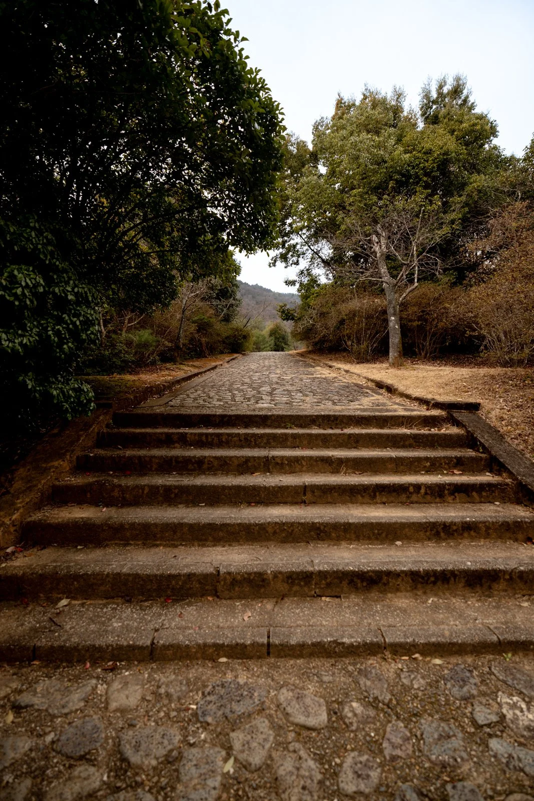 2026 KYOTO ARASHIYAMA-18.jpg