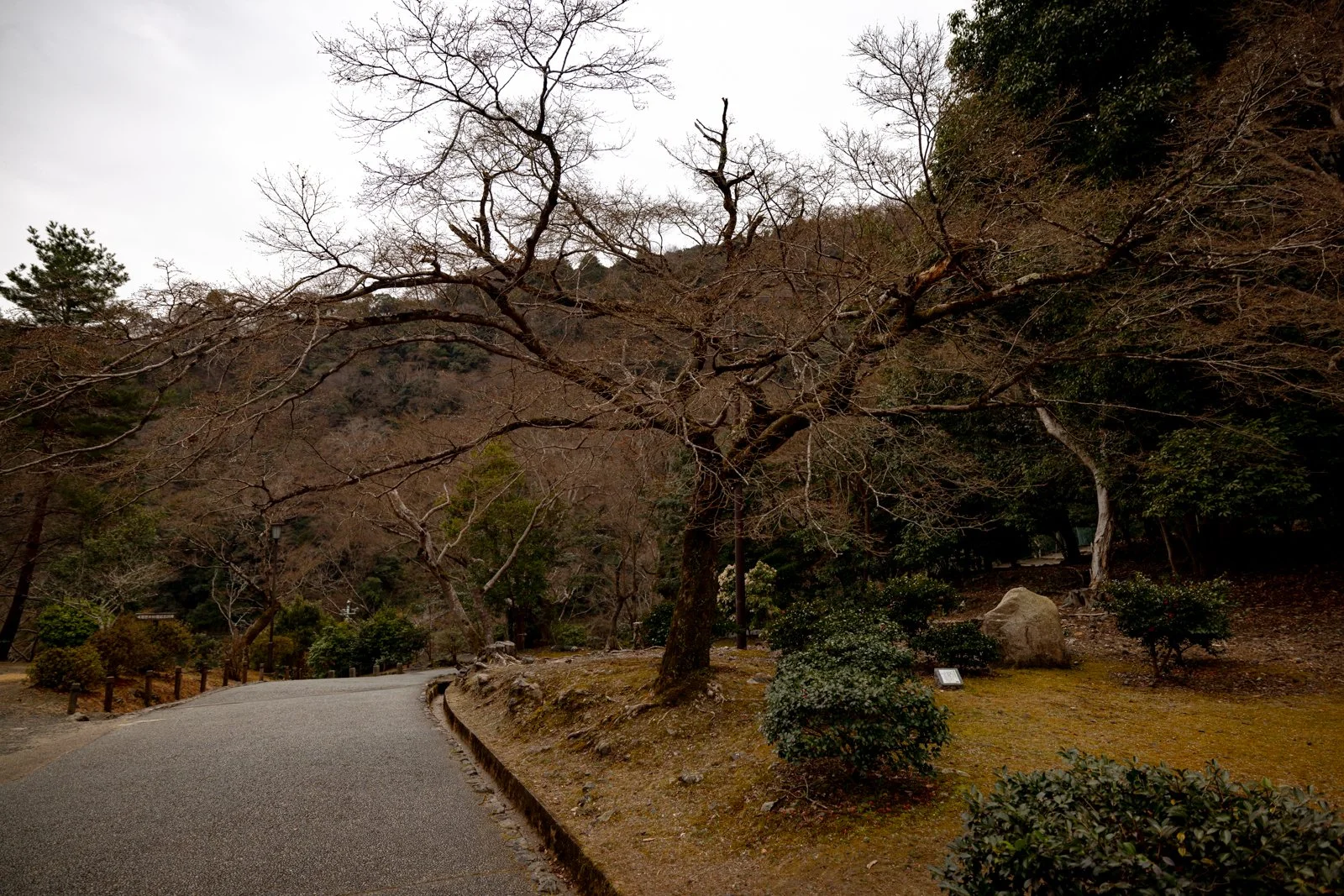 2026 KYOTO ARASHIYAMA-22.jpg