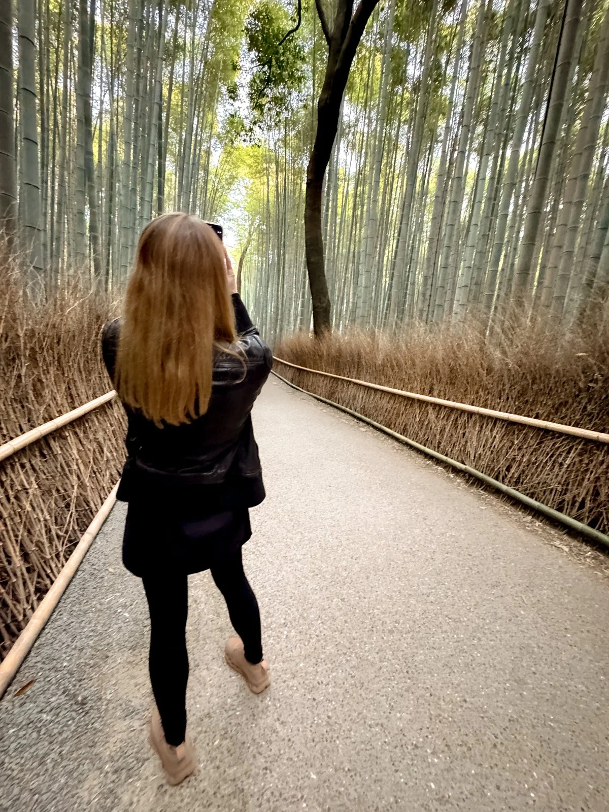 2026 KYOTO ARASHIYAMA-29.jpg