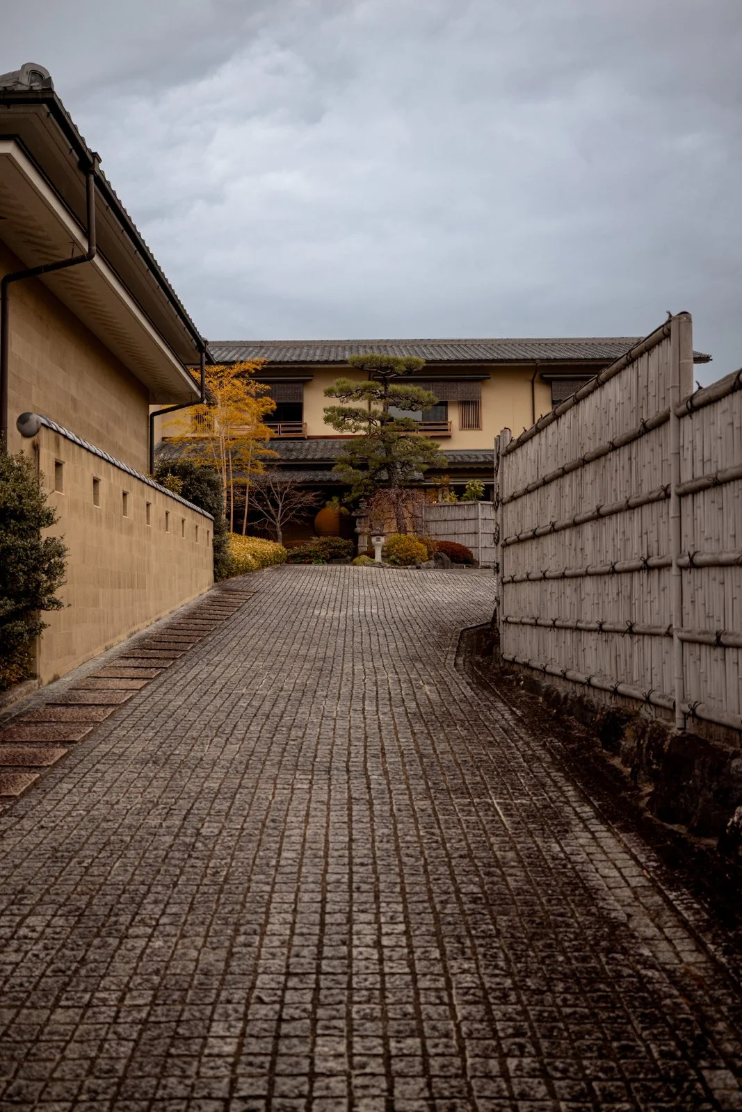 2026 KYOTO ARASHIYAMA-38.jpg