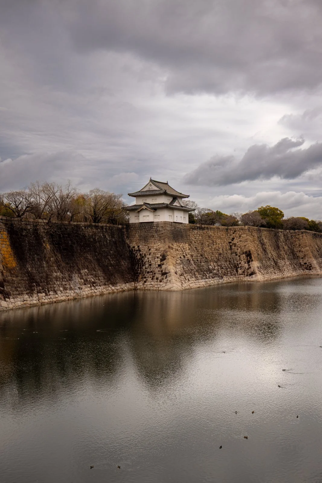 2026 OSAKA CASTLE-4.jpg