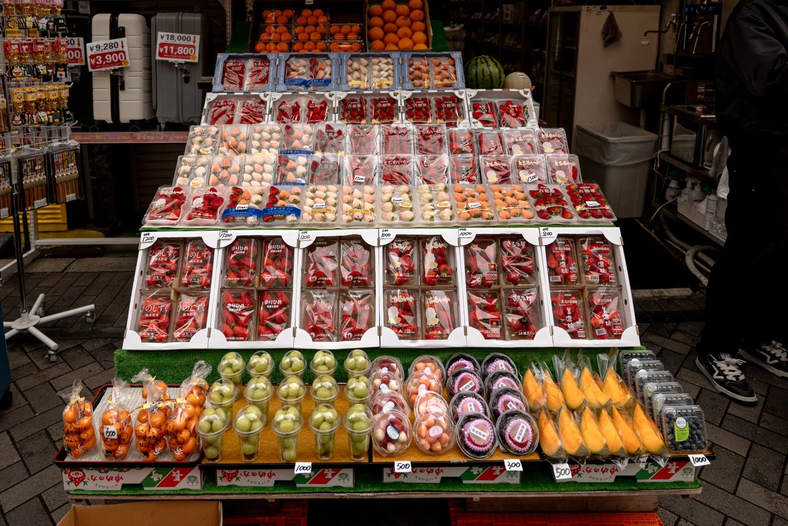 2026 OSAKA DOTONBORI-6.jpg