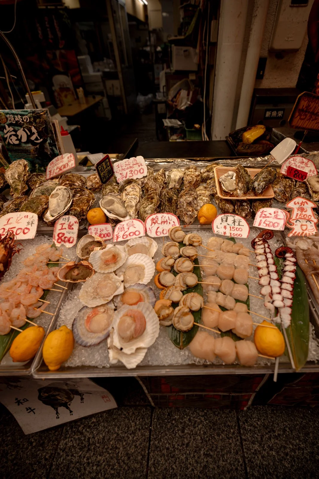 2026 OSAKA DOTONBORI-36.jpg