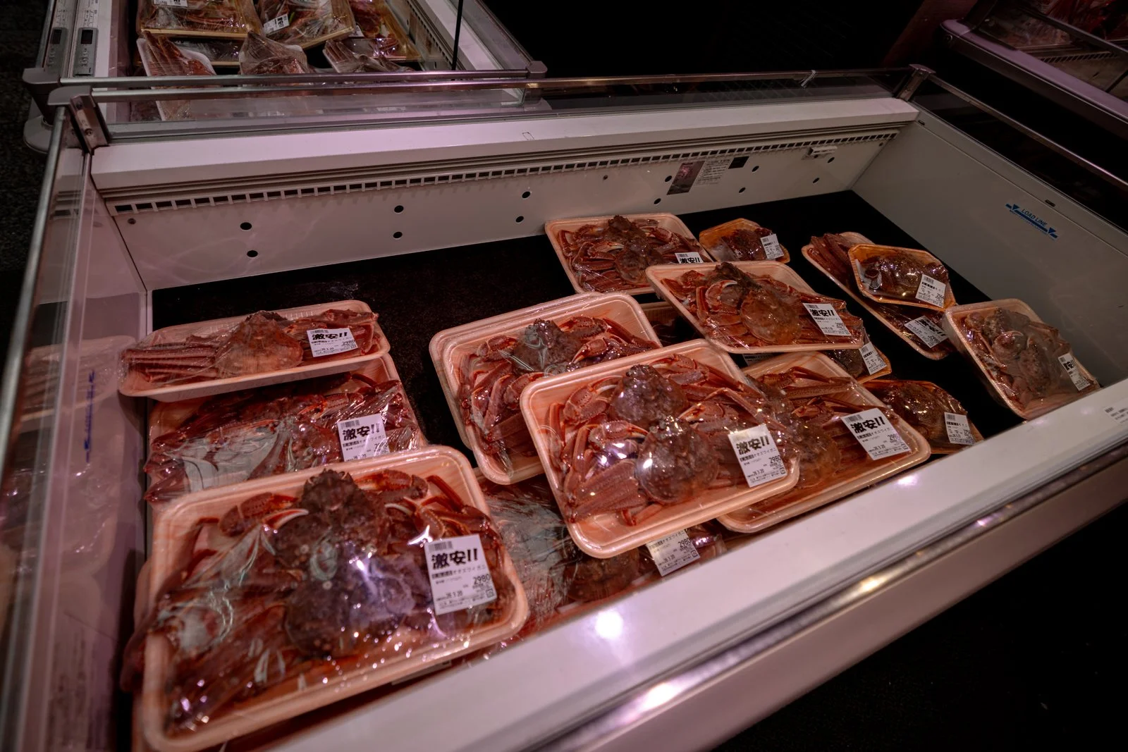 2026 OSAKA DOTONBORI-39.jpg