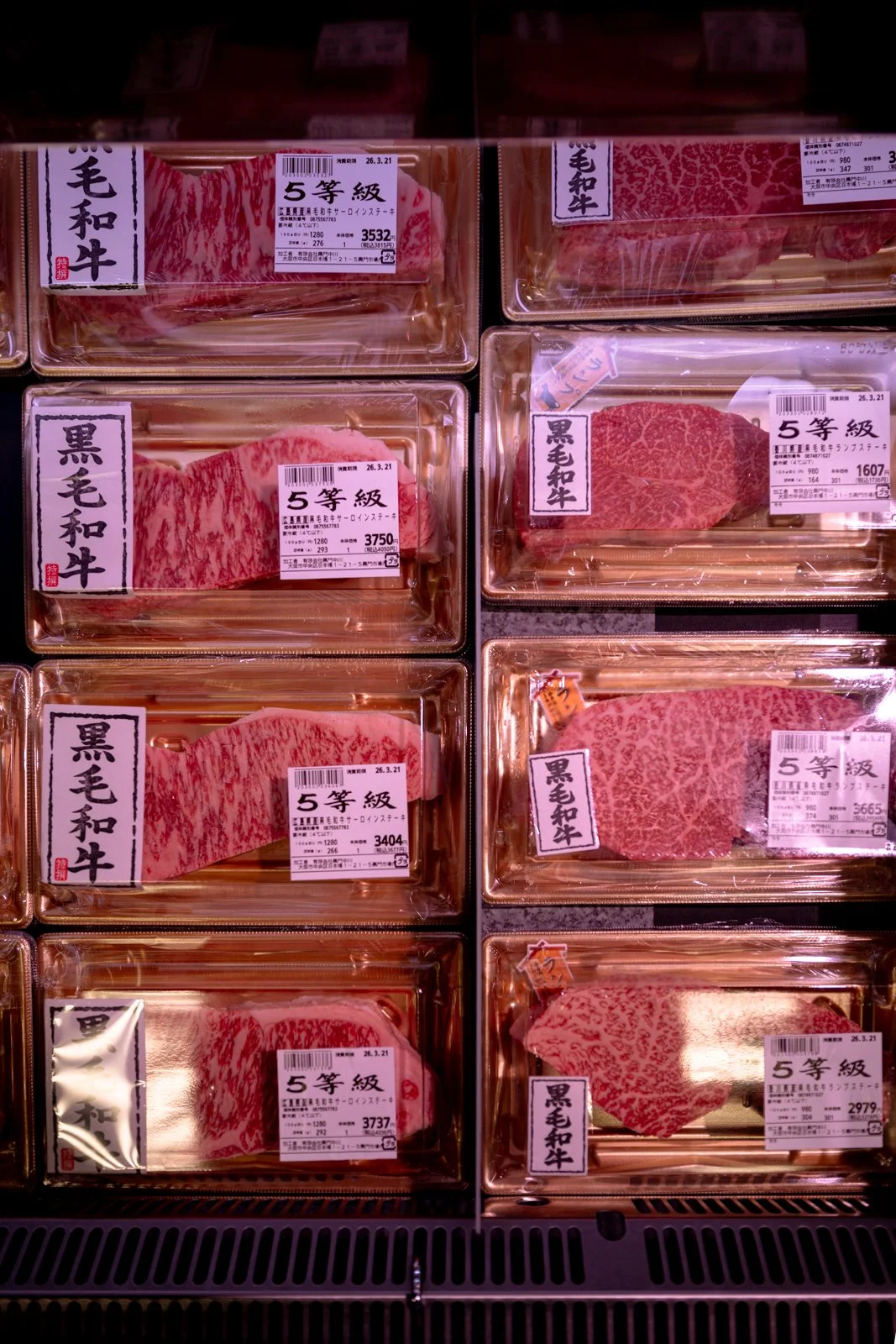 2026 OSAKA DOTONBORI-41.jpg