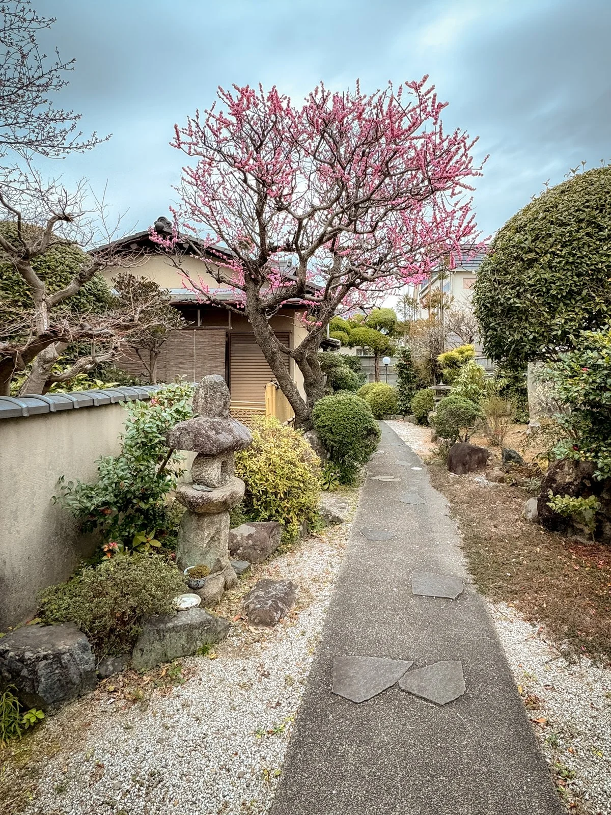 2026 KYOTO ARASHIYAMA-50.jpg