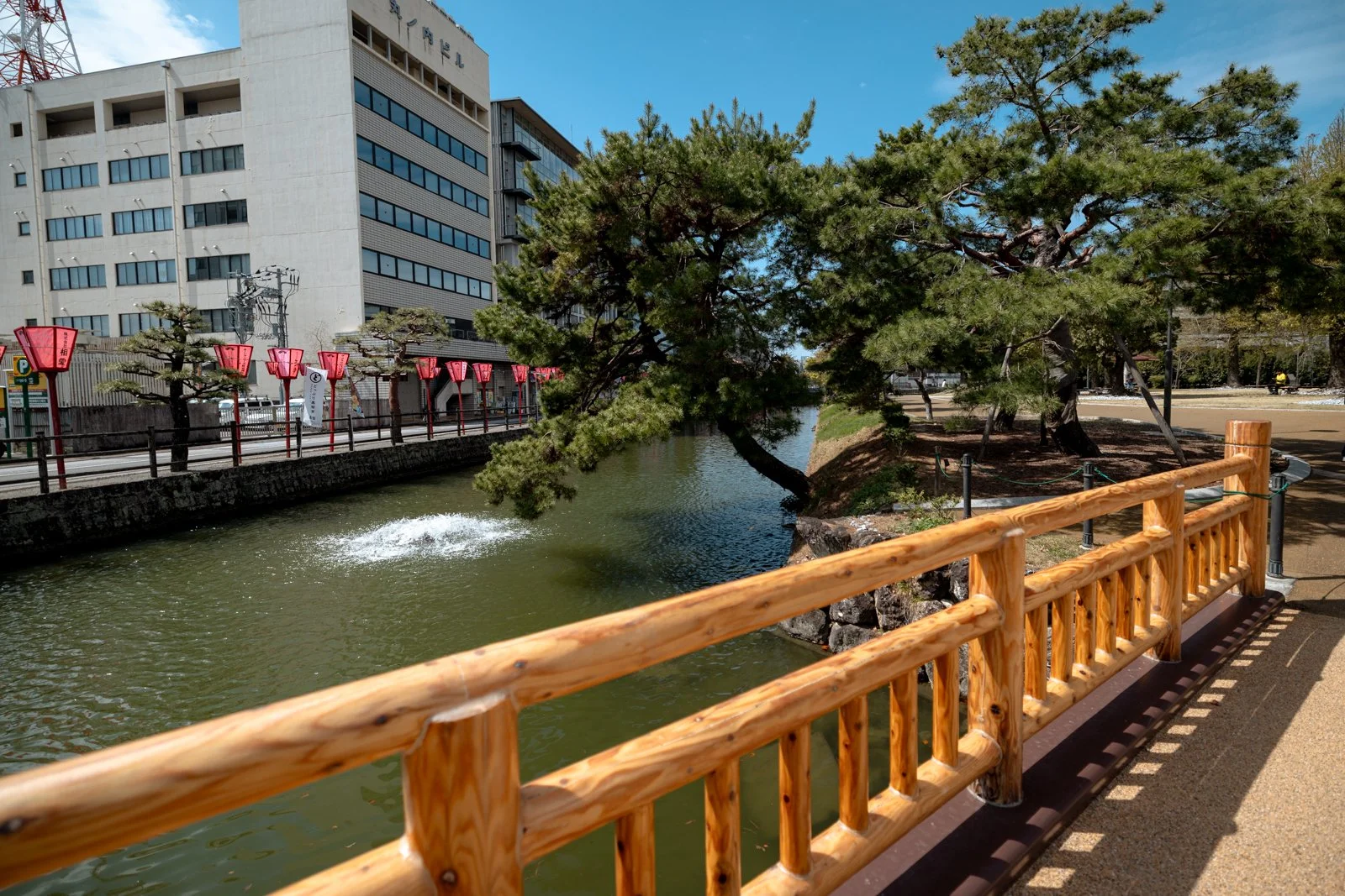 2026 KOCHI CASTLE-7.jpg