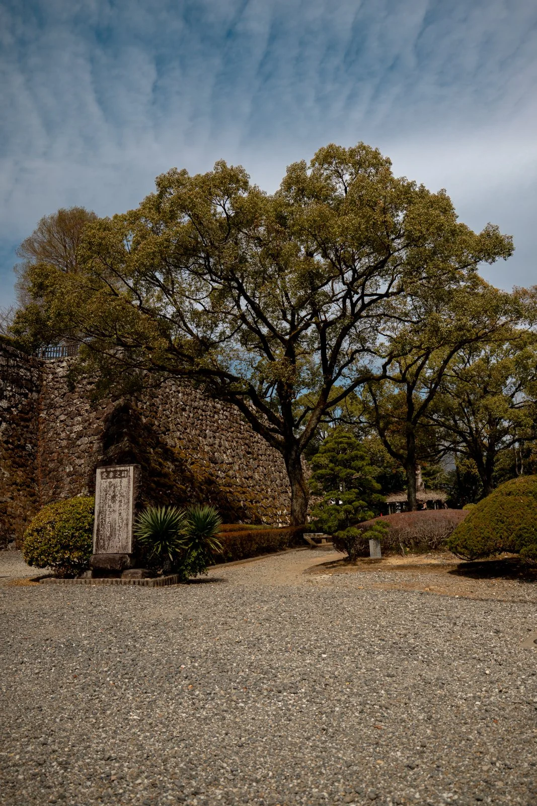 2026 KOCHI CASTLE-14.jpg