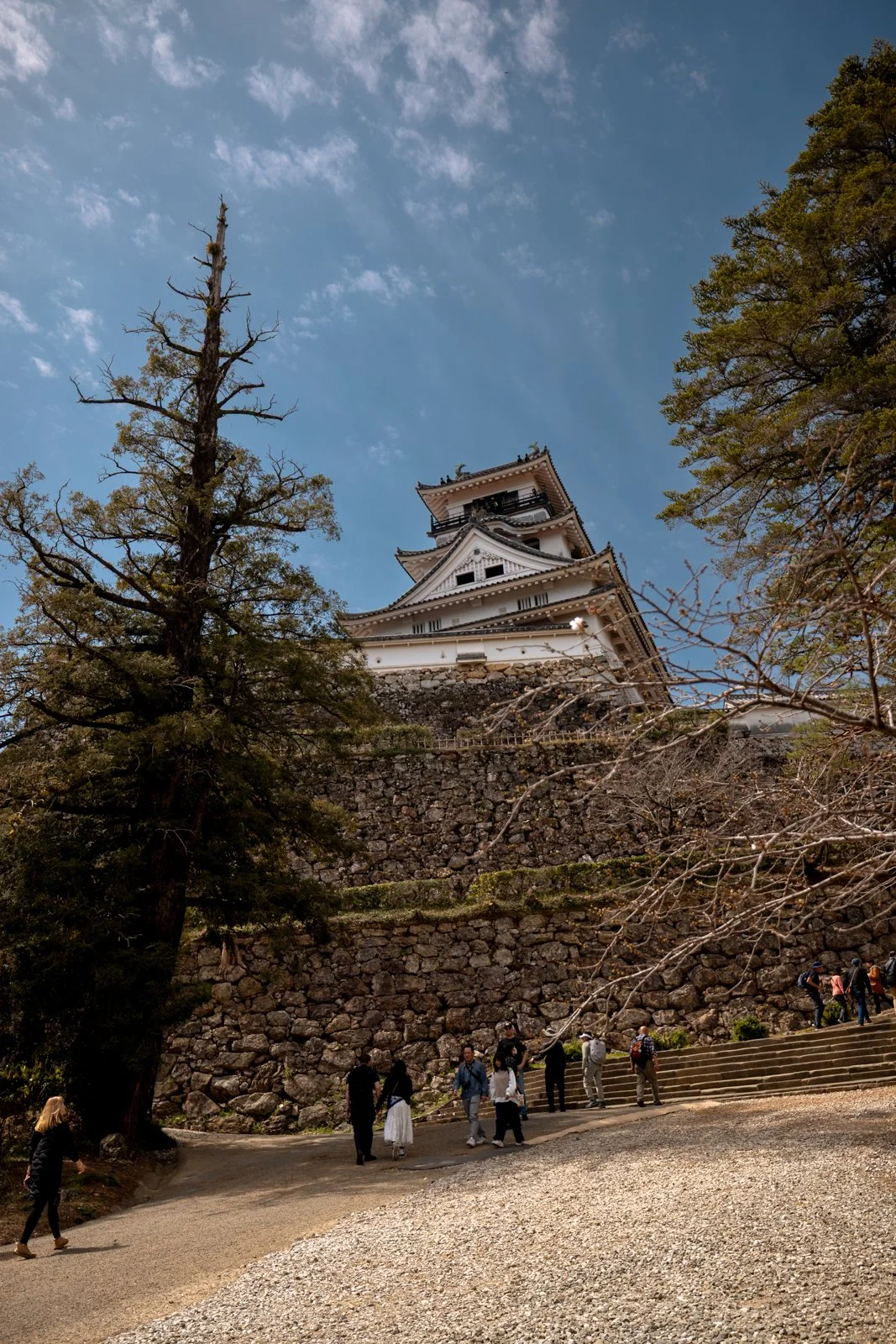 2026 KOCHI CASTLE-15.jpg
