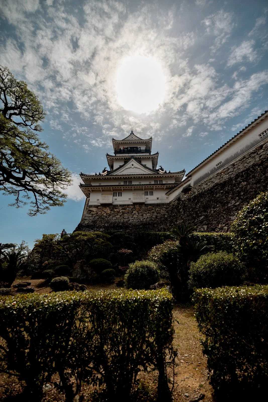 2026 KOCHI CASTLE-16.jpg
