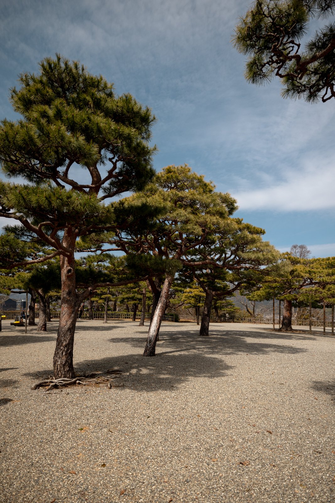 2026 KOCHI CASTLE-19.jpg