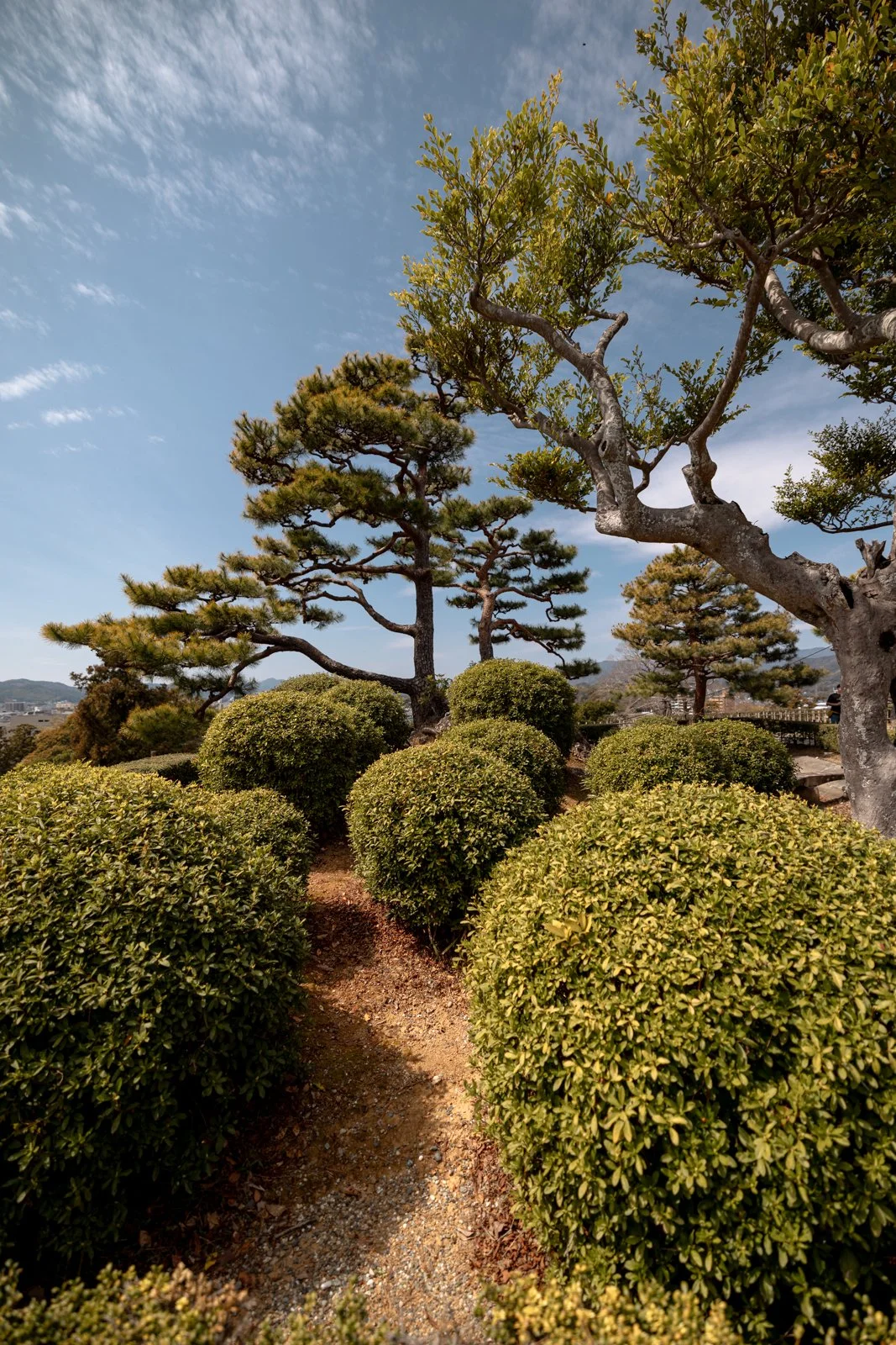 2026 KOCHI CASTLE-20.jpg